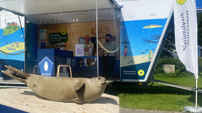 Ocean Live Park