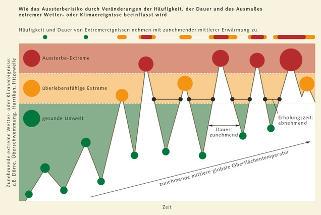 WOR8 Grafik