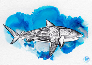 Janina Rossiter Illustration