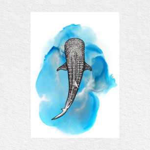 Janina Rossiter Illustration