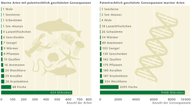 WOR7 Grafik