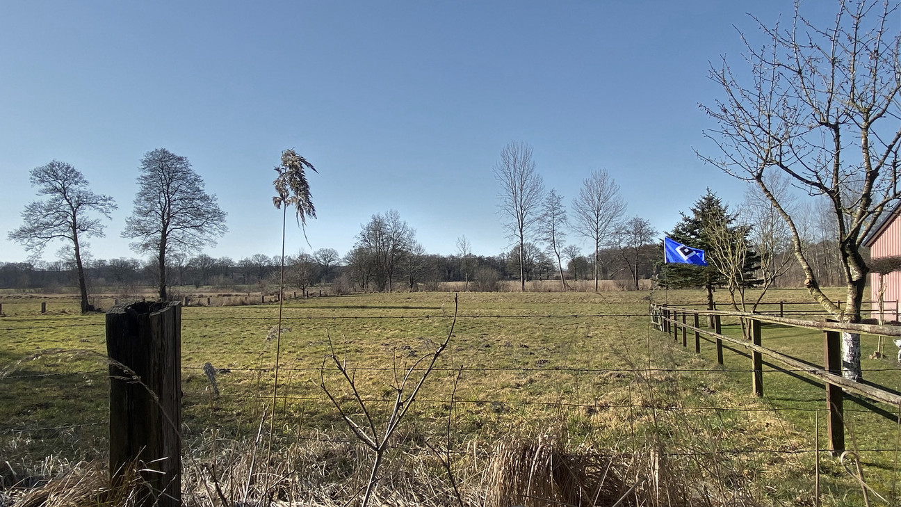 Bad Bramstedt Feld