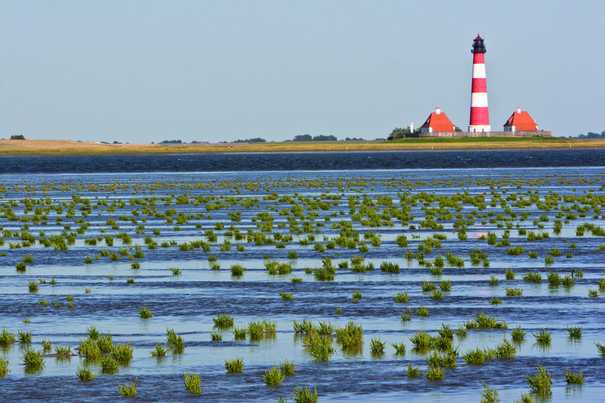 Wattenmeer