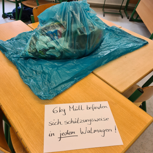 Plastikmüll
