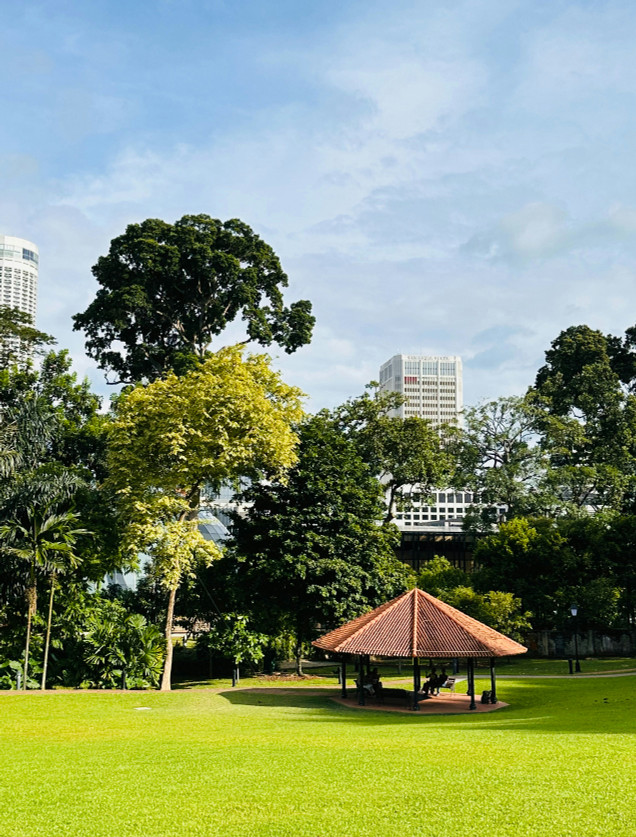 Park